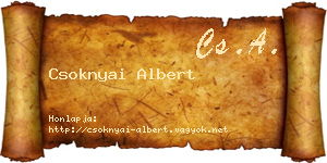 Csoknyai Albert névjegykártya